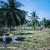 Thailand - Tsunami 2004